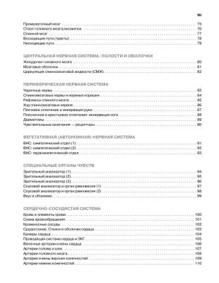 Анатомия человека. Атлас-раскраска